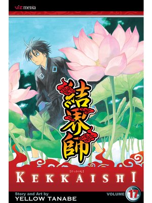 cover image of Kekkaishi, Volume 17